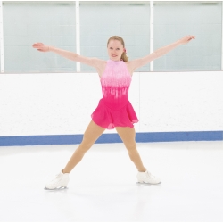 Jerrys Icicle Rose Ice Skate Dress (52)
